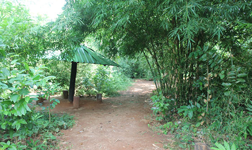 Nature camp at bhanjanagar
