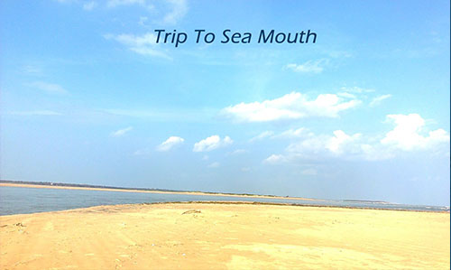 trip to sea mouth