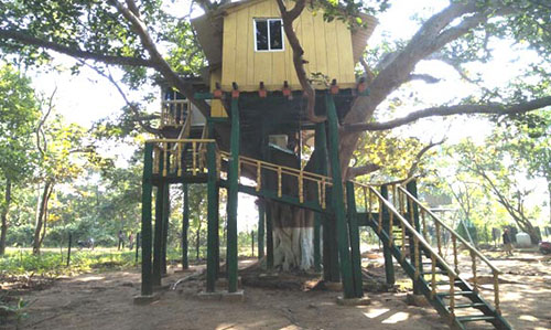 Tree house at Giant Squirrel Nature Camp