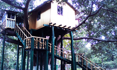 Tree house at Giant Squirrel Nature Camp