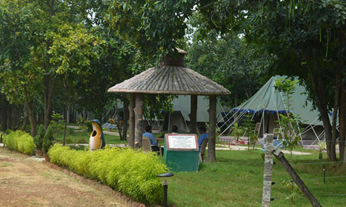 Rissia Nature Camp
