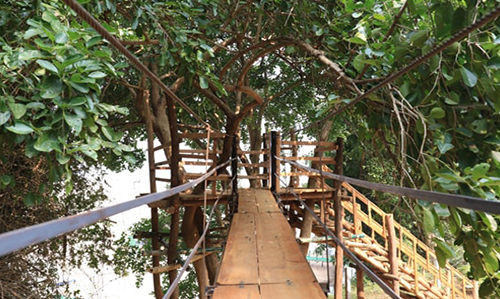 Canopy walkway/Tree Walk in Satkosia Sands Resort