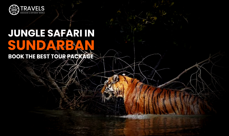 Sundarban jungle safari