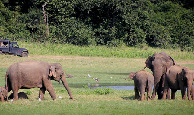 Odisha Wildlife Tour Gallery 1